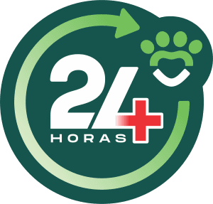 Atendimento 24h